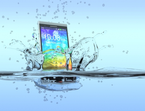 How mobile phones can support field monitoring campaigns