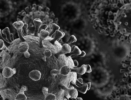 Lessons learnt during Covid 19 pandemic can help us tackle climate change issues