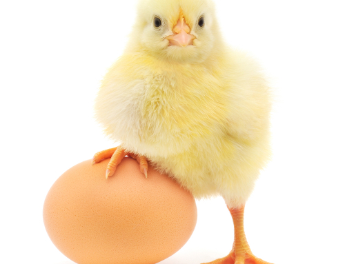 The chicken-and-egg situation of inline sensors and certification