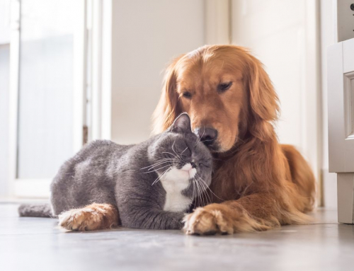 Five reasons why the laboratory is your best friend for the sensor technologies at your water utility