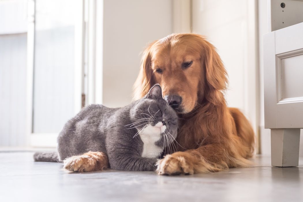 BFFs
