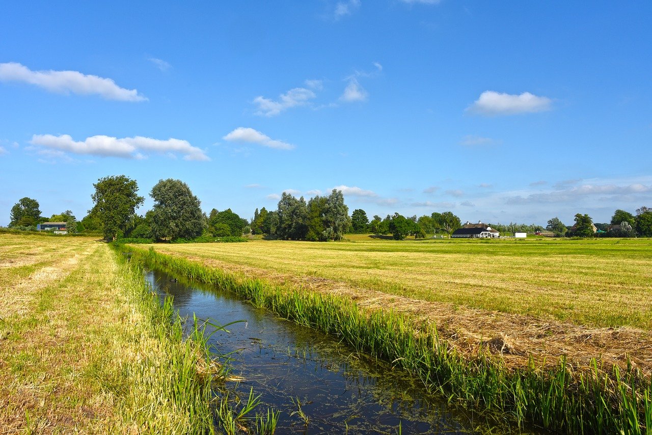 field-3483757_1280